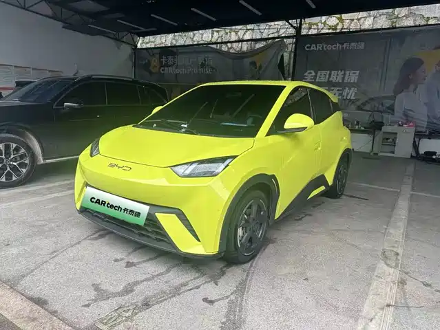 2024 BYD Seagull