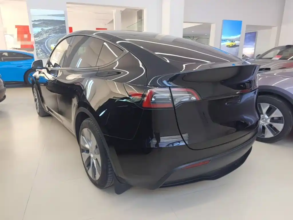 Tesla Model Y — миниатюра 5