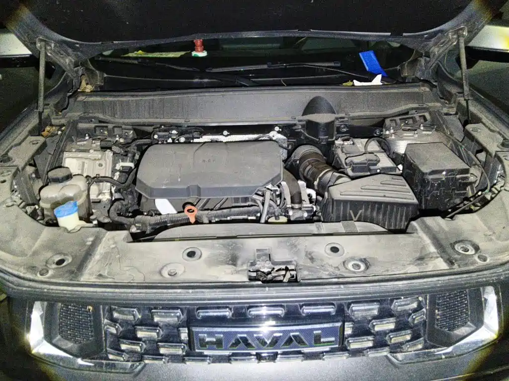Haval Haval Big Dog PLUS — миниатюра 17
