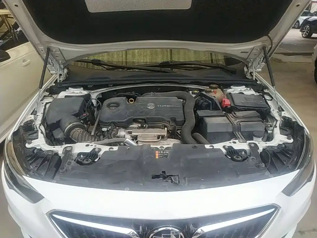Buick Regal — миниатюра 20