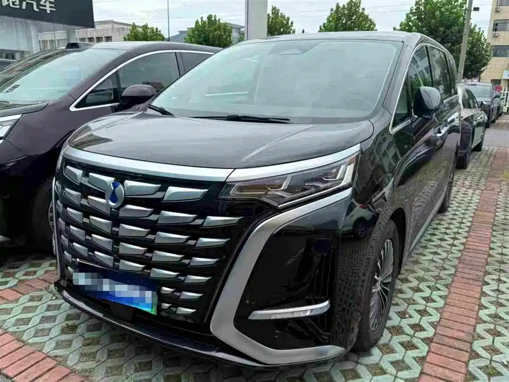 Denza Denza D9