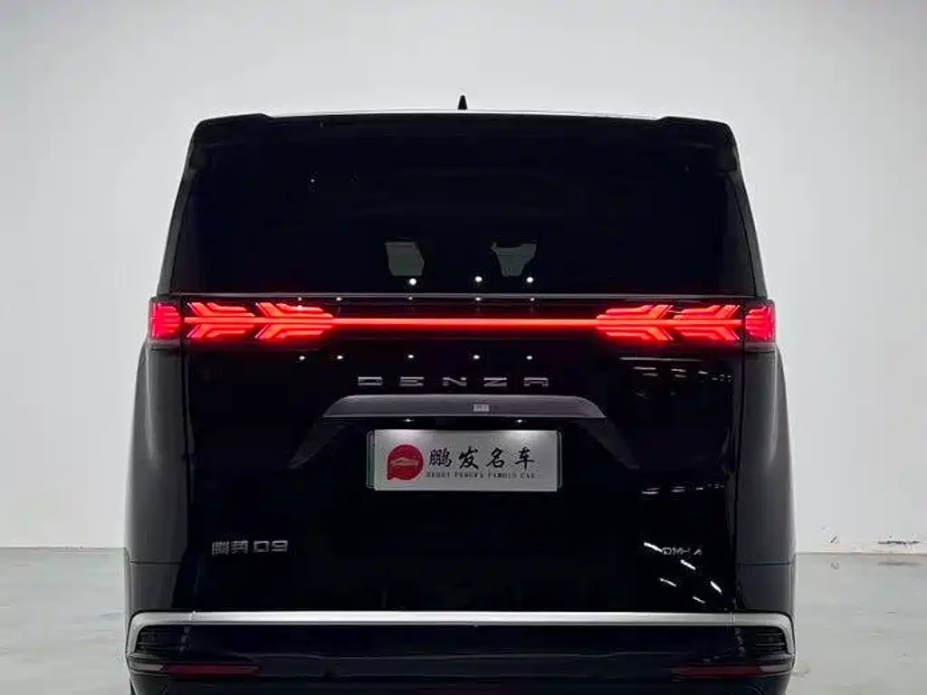 Denza Denza D9 — миниатюра 18