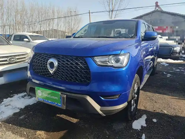 GREAT WALL CANNON 2022