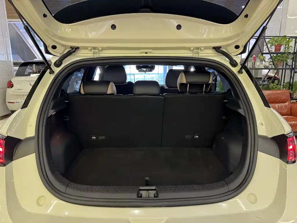 BYD Dolphin 2025 Smart Drive 410km Fashion