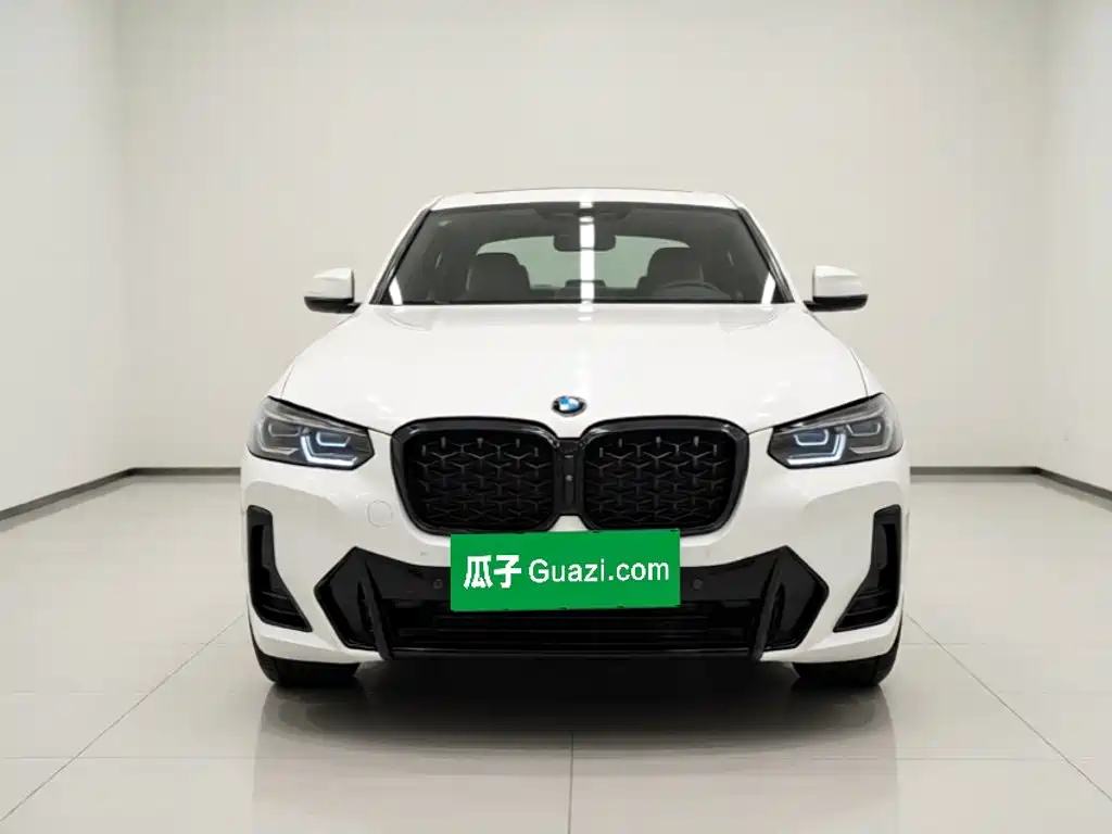 BMW X4 — миниатюра 2
