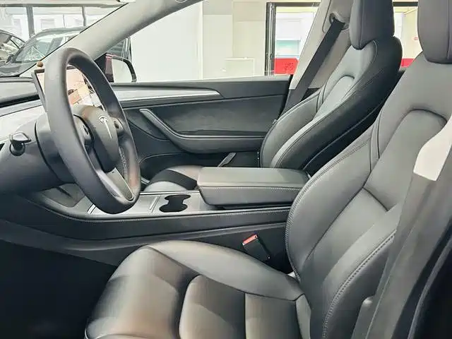 Tesla Model Y — миниатюра 9