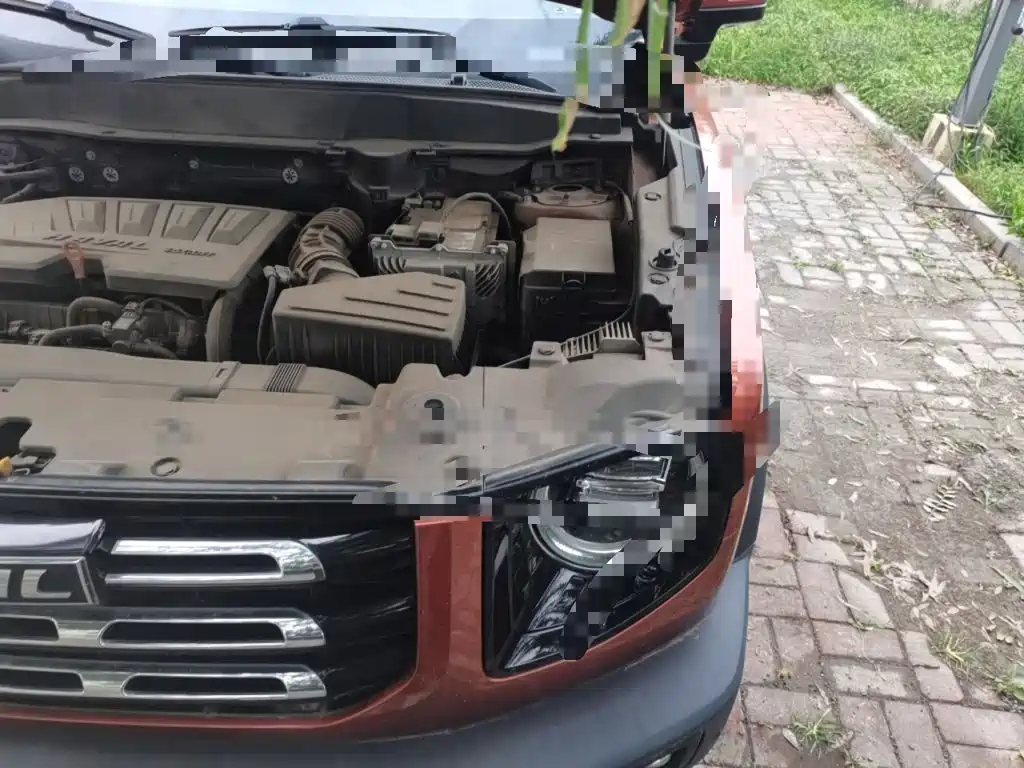 Haval Big Dog — миниатюра 21