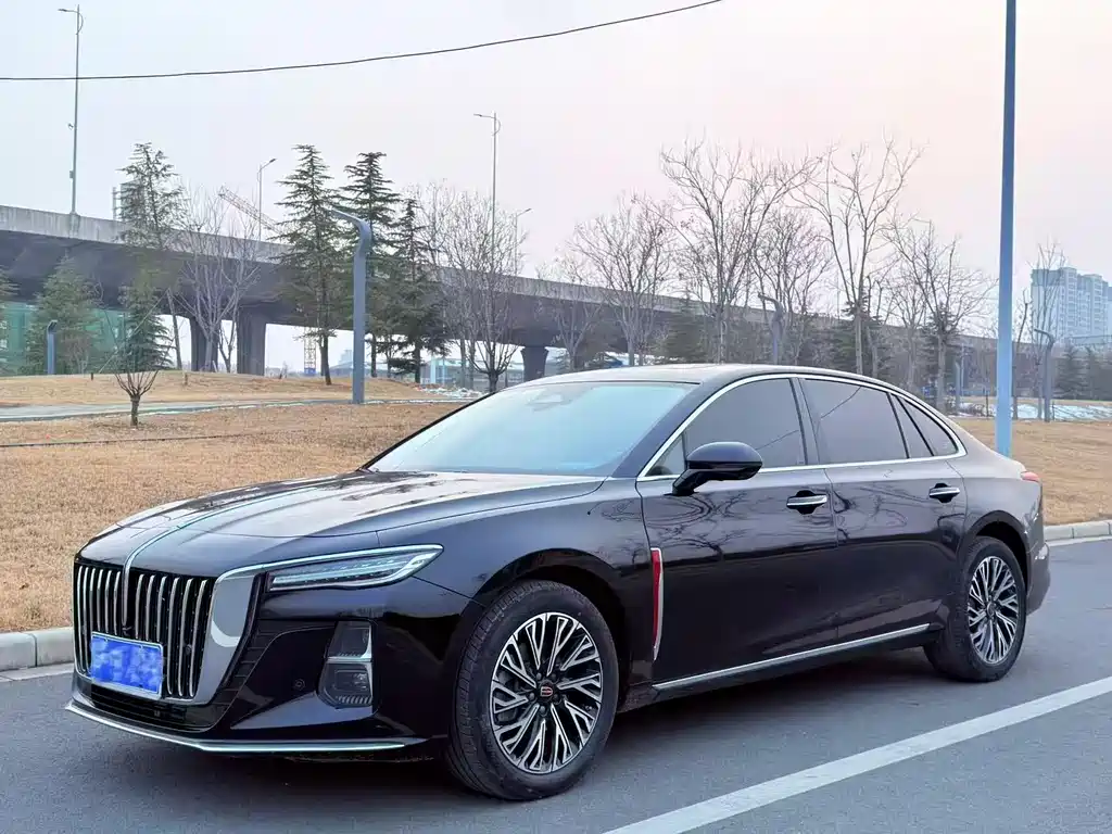 Hongqi Hongqi H5 2024