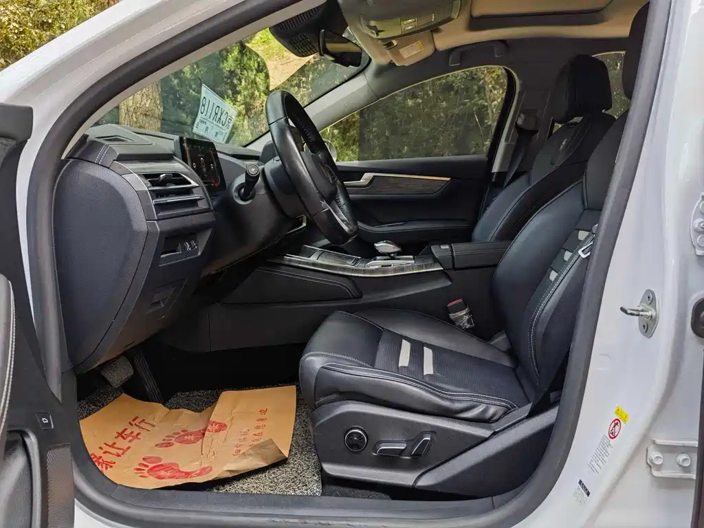 BYD Qin Pro NEV — миниатюра 6