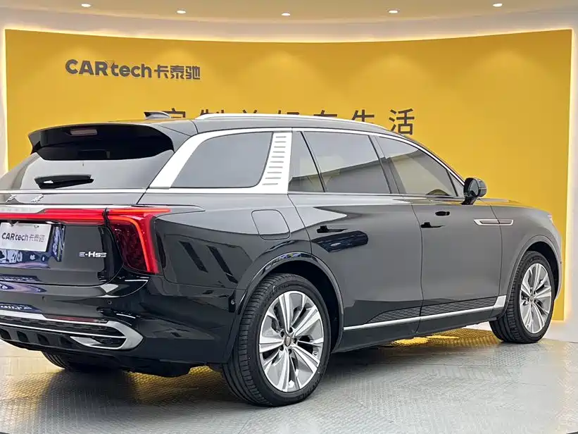 Hongqi Hongqi E-HS9 — миниатюра 4