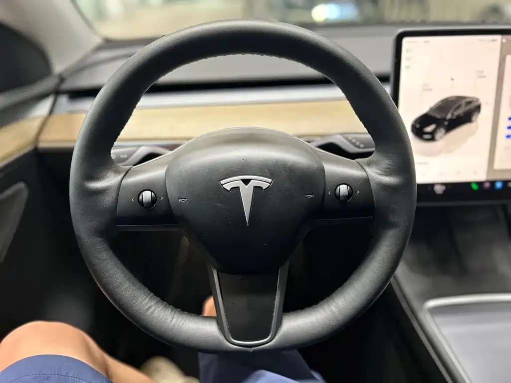 Tesla Model Y — миниатюра 9