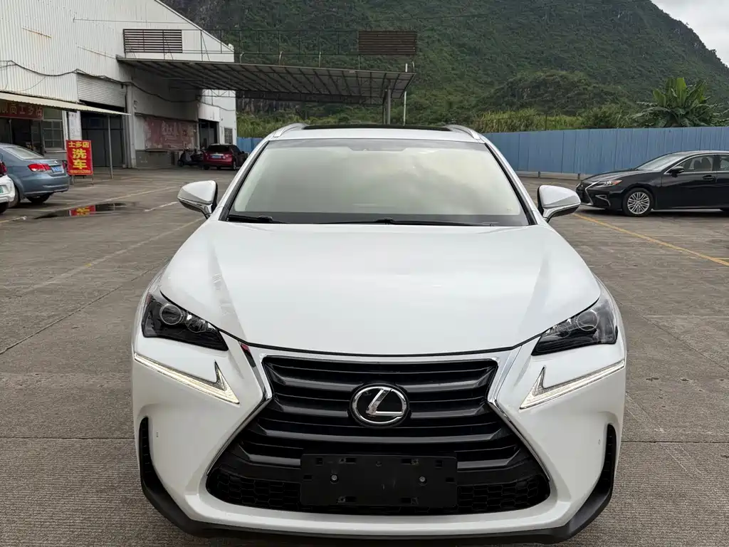 Lexus NX — миниатюра 2