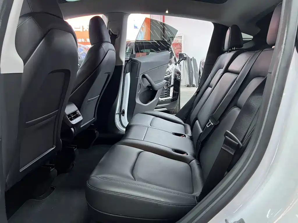 Tesla Model Y — миниатюра 9