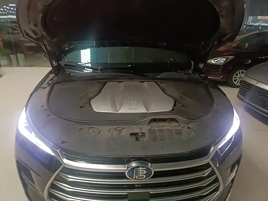 BYD Tang New Energy — миниатюра 20