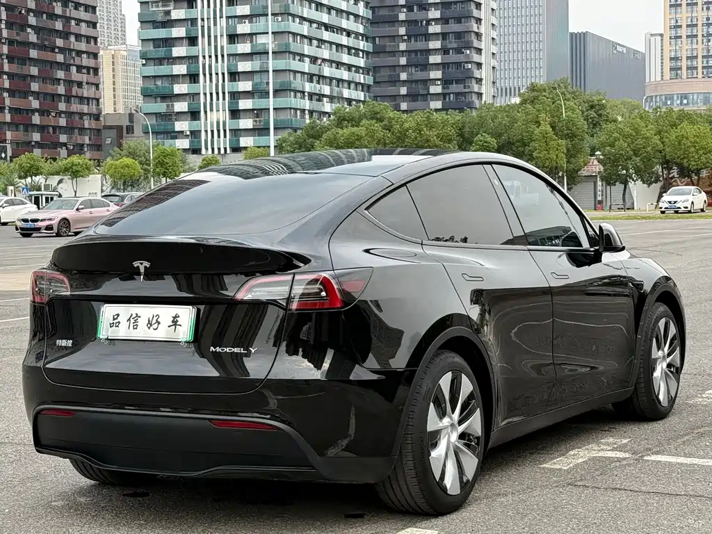 Tesla Model Y — миниатюра 5