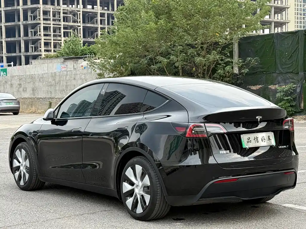 Tesla Model Y — миниатюра 7