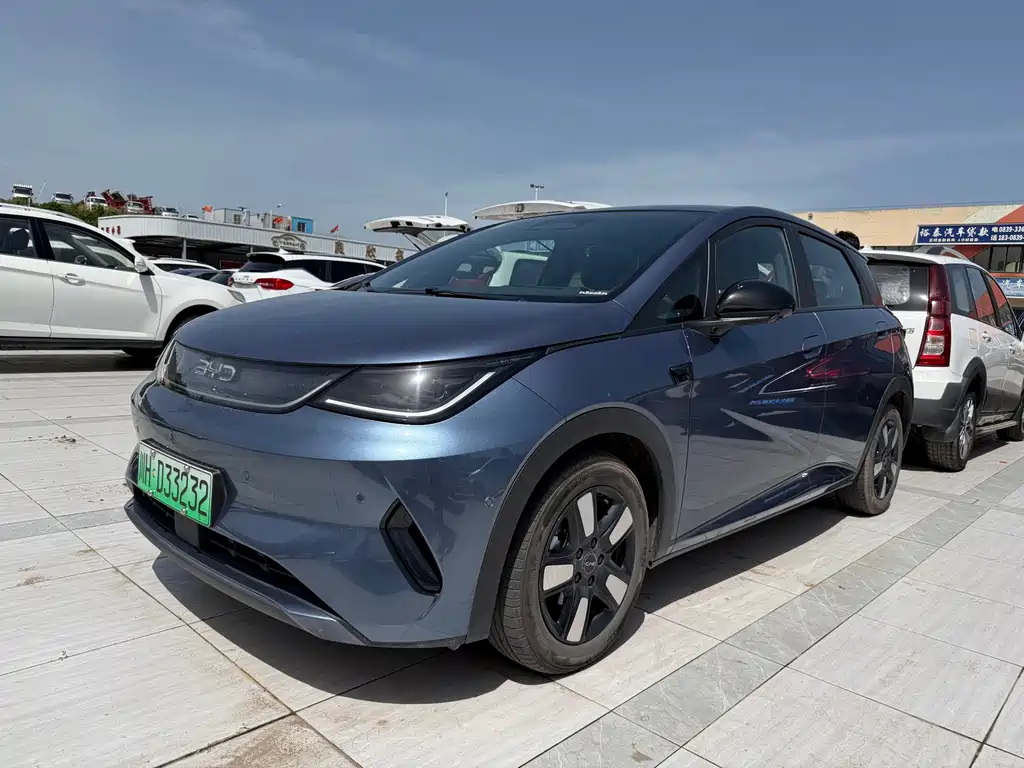 Byd Dolphin 2025