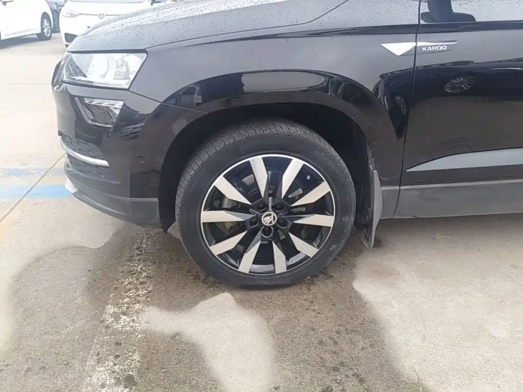 Skoda Karoq — миниатюра 23