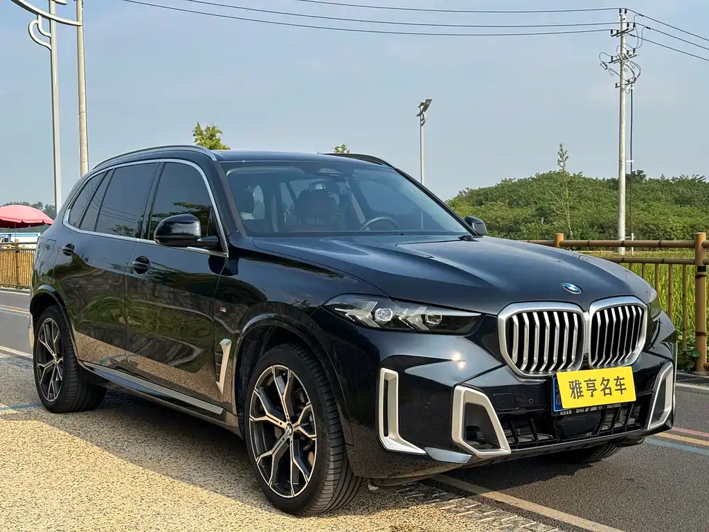 BMW X5 — миниатюра 3