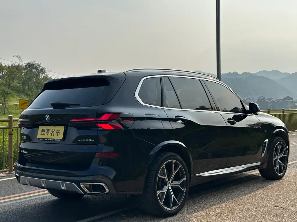 BMW X5 — миниатюра 19