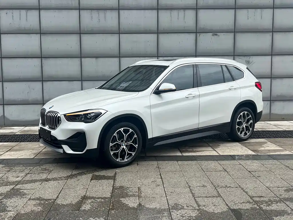BMW X1 — миниатюра 2