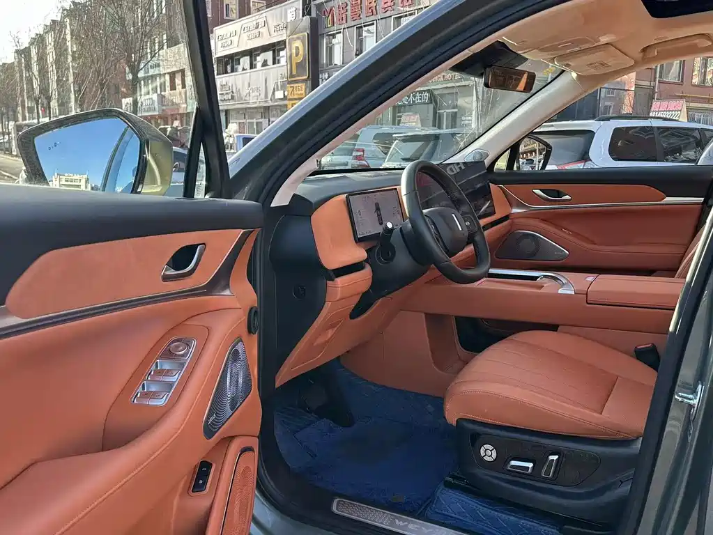 WEI PAI WEI BRAND BLUE MOUNTAIN