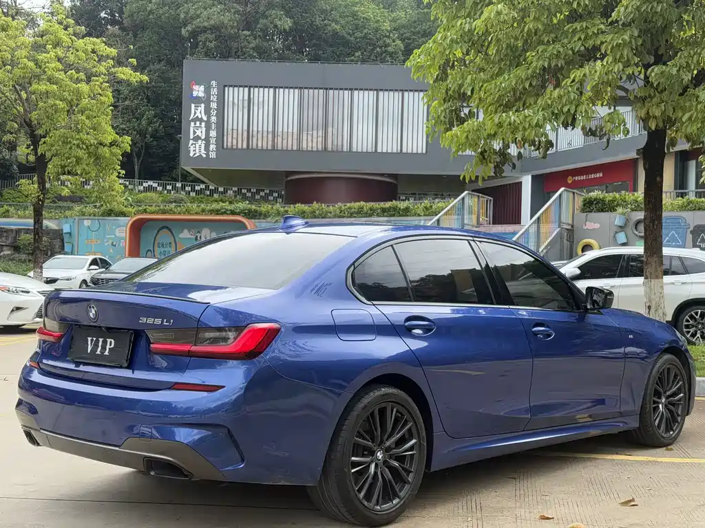 BMW 3 Series 3 2020 325Li M Sport