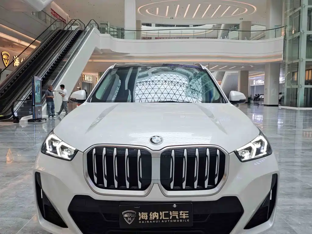 BMW X1 — миниатюра 2