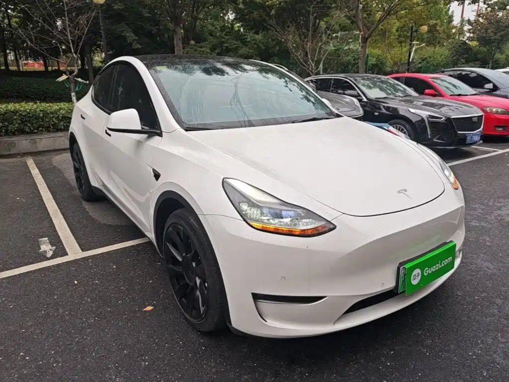 Tesla Model Y — миниатюра 4