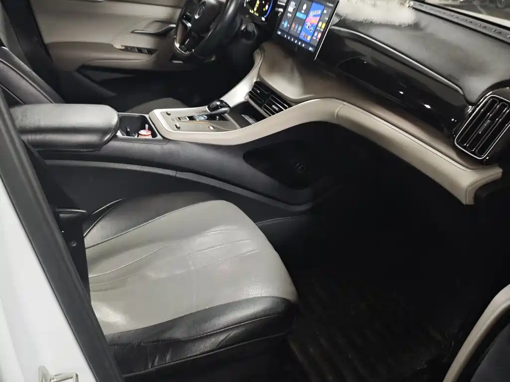 BYD SONGJIANG NEW ENERGY