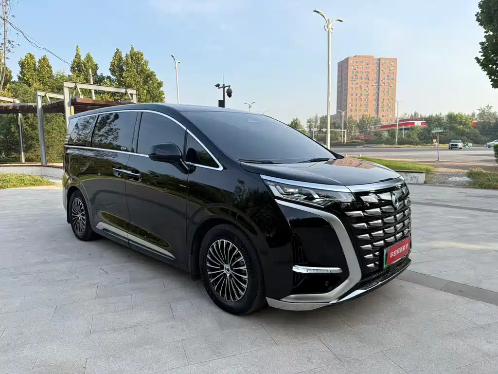 Denza Denza D9 — миниатюра 3
