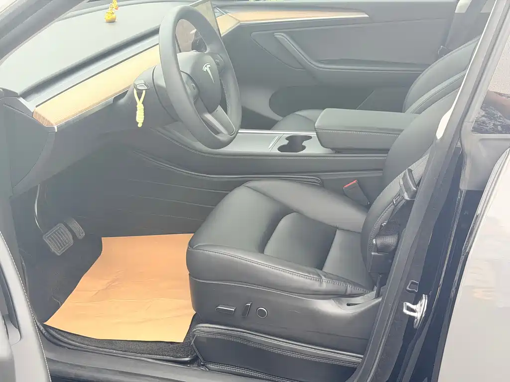Tesla Model Y — миниатюра 4