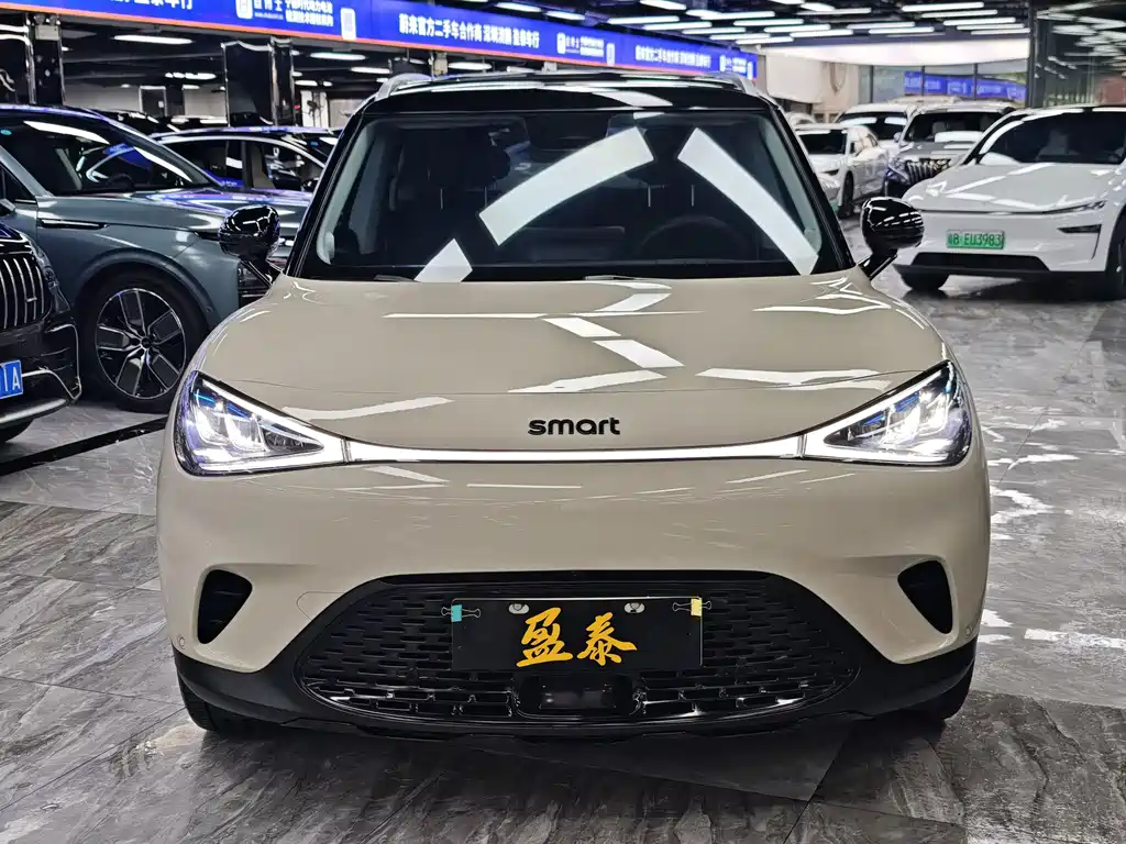 smart Smart #1 — миниатюра 2
