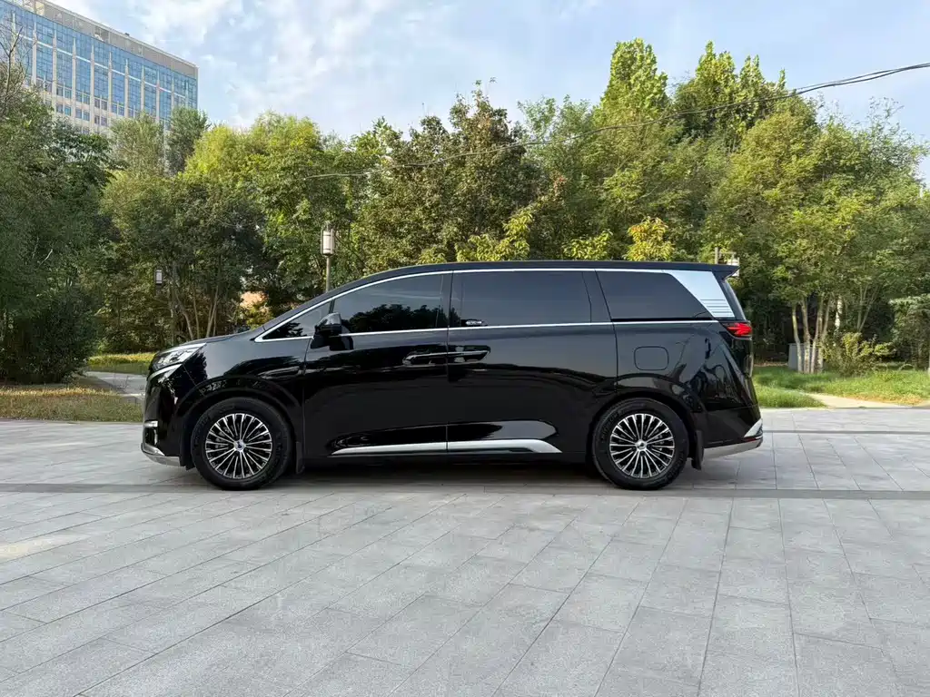Denza Denza D9 — миниатюра 5