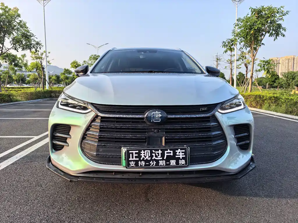 BYD Tang New Energy — миниатюра 2