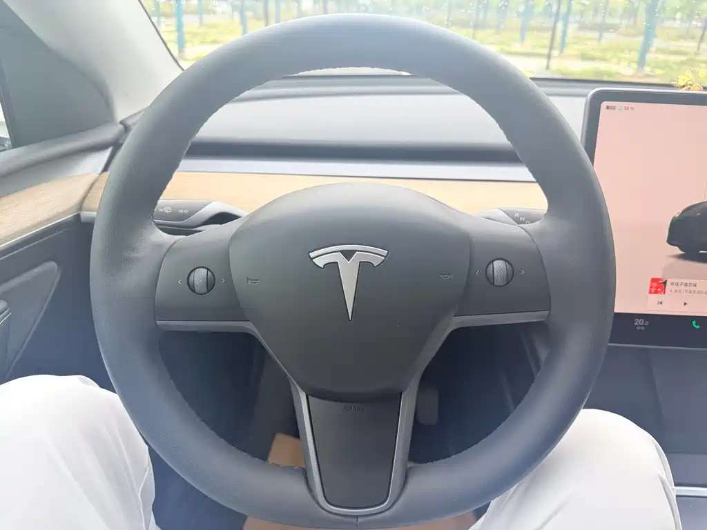 Tesla Model Y — миниатюра 5