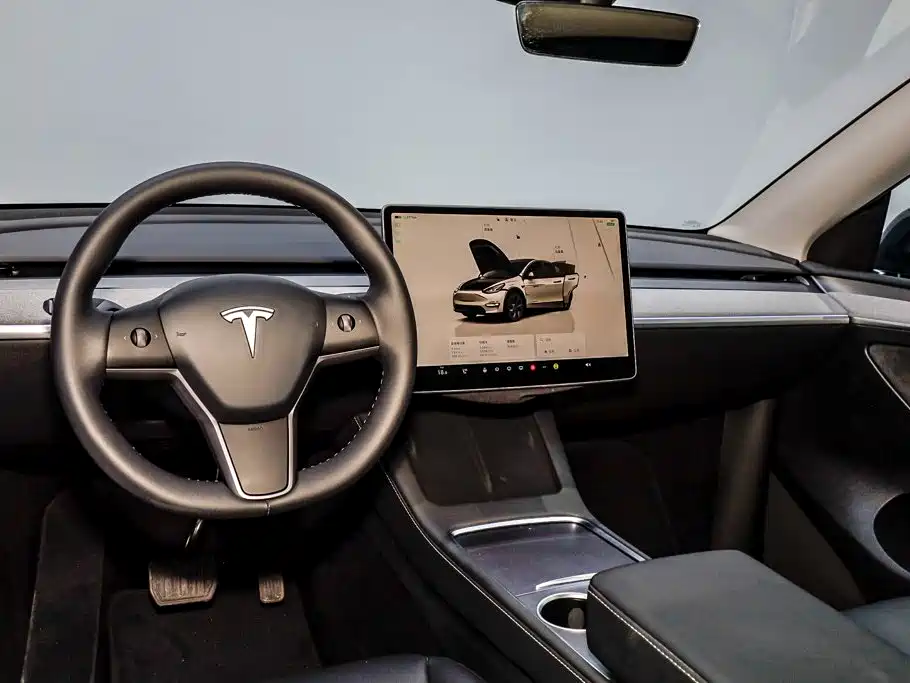 Tesla Model Y — миниатюра 20