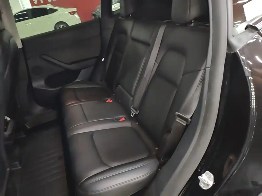 Tesla Model Y — миниатюра 17