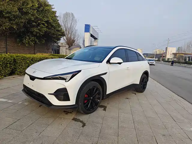 ARCFOX EXTREME FOX POLAR FOX ALPHA T5 2025