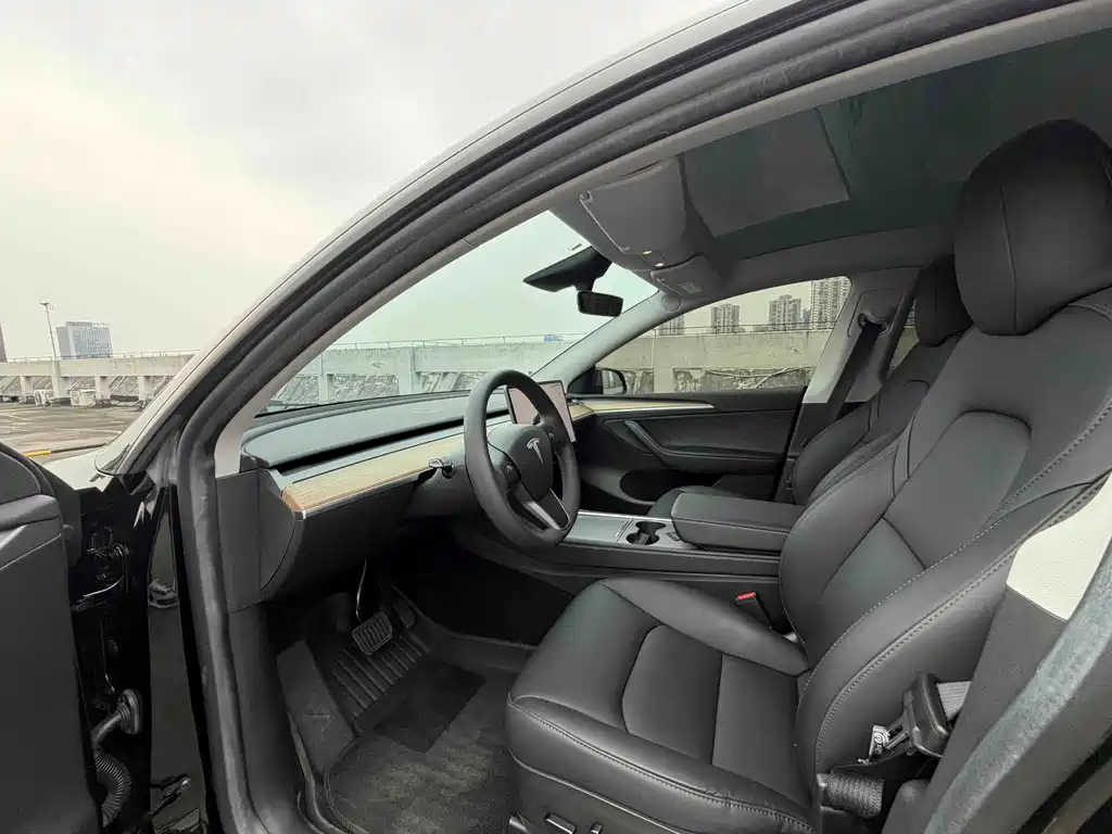 Tesla Model Y — миниатюра 15