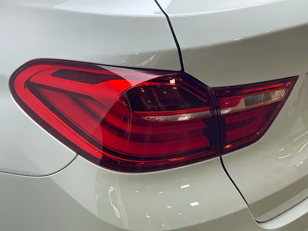 BMW X4 xDrive20i M Sport Type, фото 12