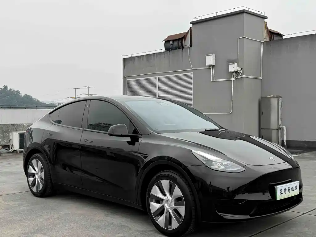 Tesla Model Y — миниатюра 2
