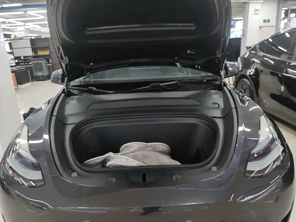Tesla Model Y — миниатюра 20