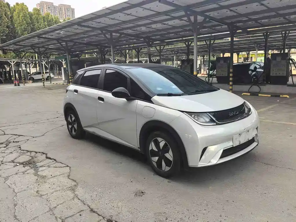 BYD Dolphin — миниатюра 3