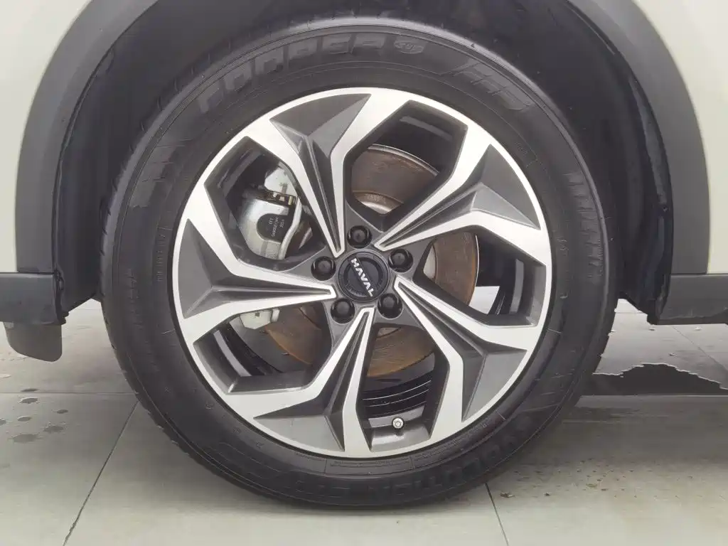 Haval Xiaolong MAX — миниатюра 17