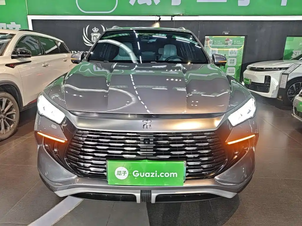 BYD Pro New Energy — миниатюра 3