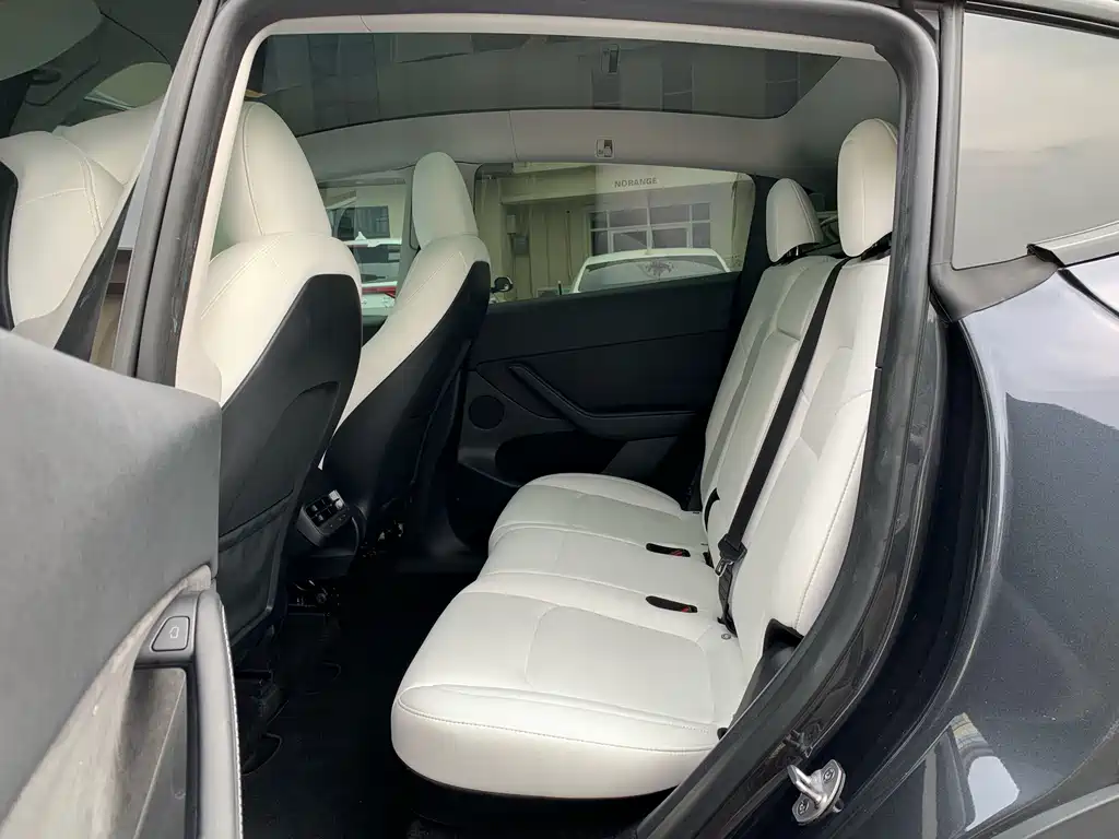 Tesla Model Y — миниатюра 15