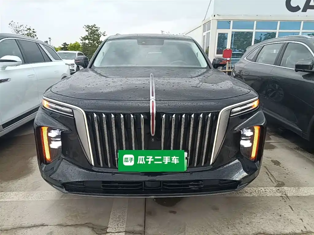 Hongqi E-HS9 2021 460km мест