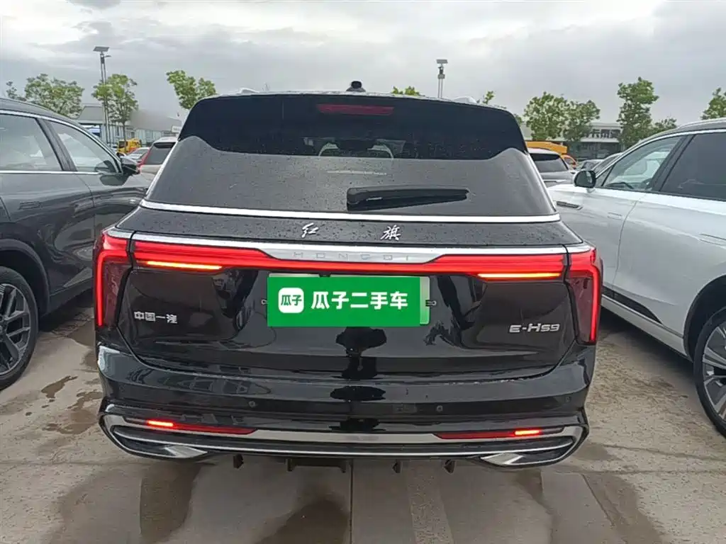 Hongqi E-HS9 2021 460km мест