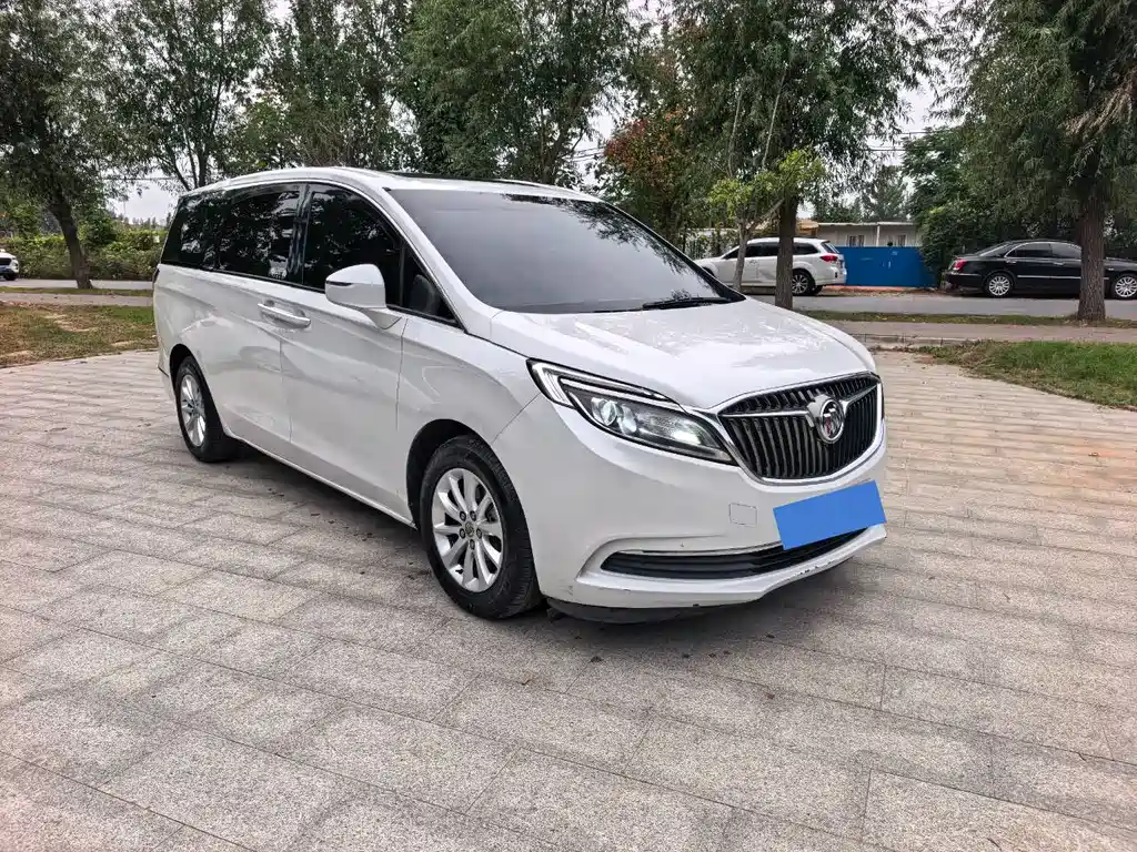 Buick GL8 — миниатюра 3